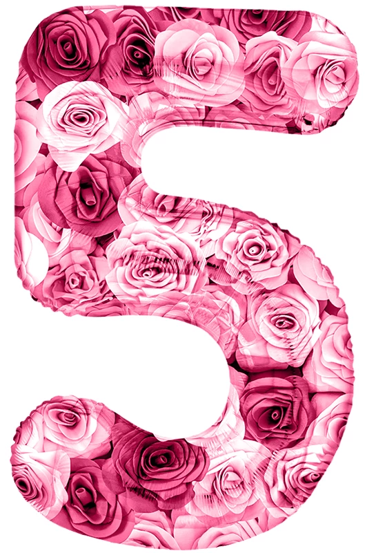 Шар Цифра, 5 Симфония роз, Фуше